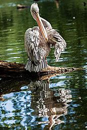 IGN现代10分游戏汇总：1998年开始 一共31款